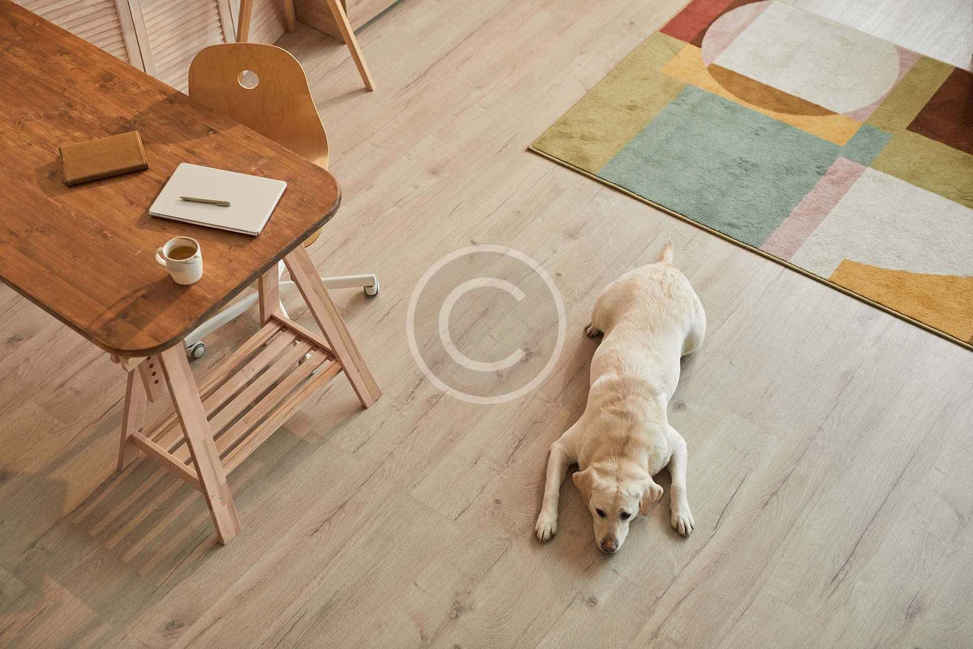 How Your Climate Can Affect Your Flooring - The World of Flooring
